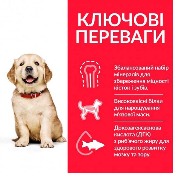 Сухий корм для цуценят Hill’s Science Plan Puppy Large Breed 14,5 кг - курка - masterzoo.ua