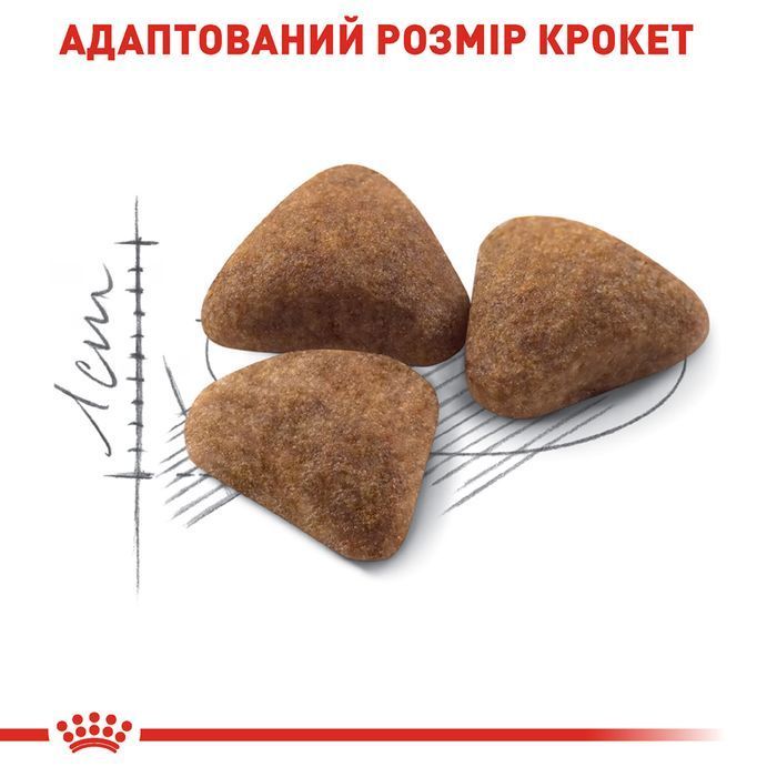 Cухий корм для котів Royal Canin Home Life Indoor 27 4 кг - masterzoo.ua