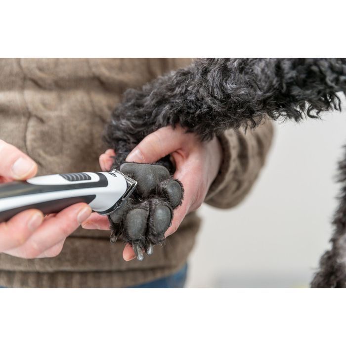 Trixie Slim TR500 машинка для стрижки собак - різнокольоровий - masterzoo.ua