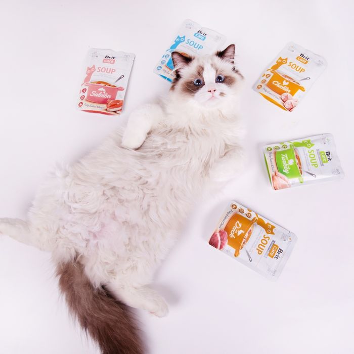 Вологий корм для котів Brit Care Soup pouch 75 г - тунець - masterzoo.ua