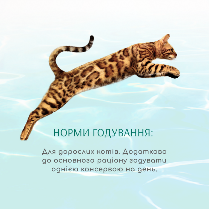 Вологий корм для котів Optimeal Beauty Fitness 70 г (тунець з креветками) - masterzoo.ua