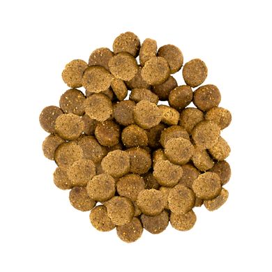 Сухой корм для собак средних пород Savory 1 кг (индейка и ягненок) - masterzoo.ua