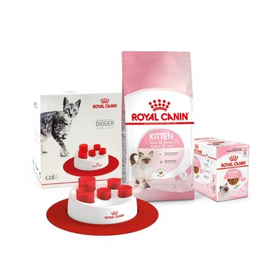 Сухий корм для кошенят Royal Canin Kitten | 2 кг + 12 шт х 85 г паучів вологого корму для котів + інтерактивна годівниця - masterzoo.ua