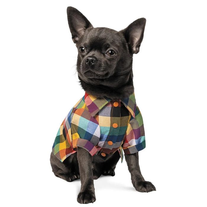 Сорочка для собак Pet Fashion «Стітч» XS - masterzoo.ua