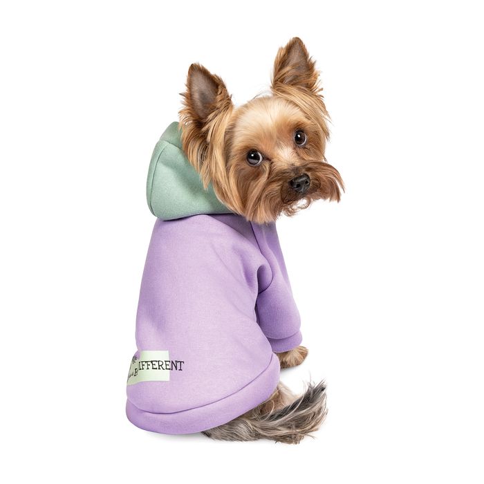 Толстовка для собак Pet Fashion «Be Different» XS - masterzoo.ua
