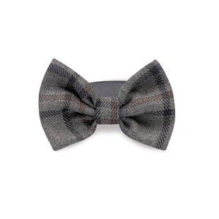 Аксессуар для собак Pet Fashion Butterfly XS-XS-2 - masterzoo.ua