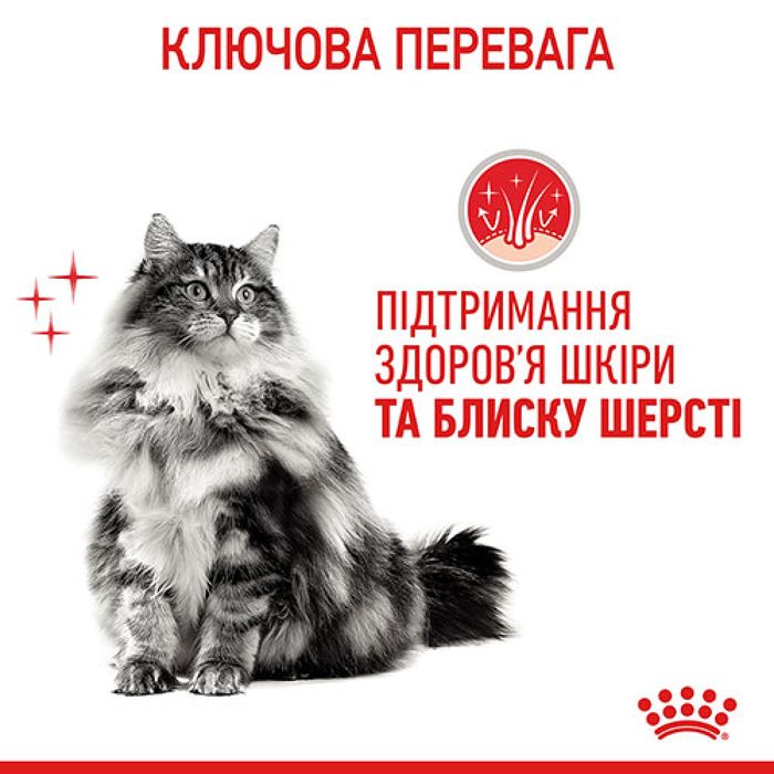 Вологий корм для котів Royal Canin Hair & Skin Care Jelly pouch 9+3 шт х 85 г - masterzoo.ua