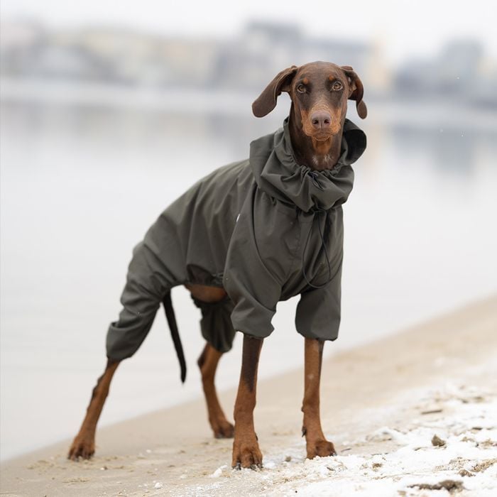 Комбинезон для собак Noble Pet Travis XL - masterzoo.ua