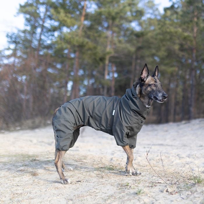 Комбинезон для собак Noble Pet Travis XL - masterzoo.ua
