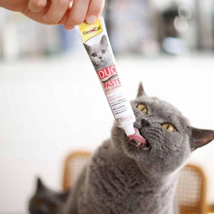 Ласощі для котів GimCat Duo Paste Anti-hairboll 50 г - курка та мальт - masterzoo.ua