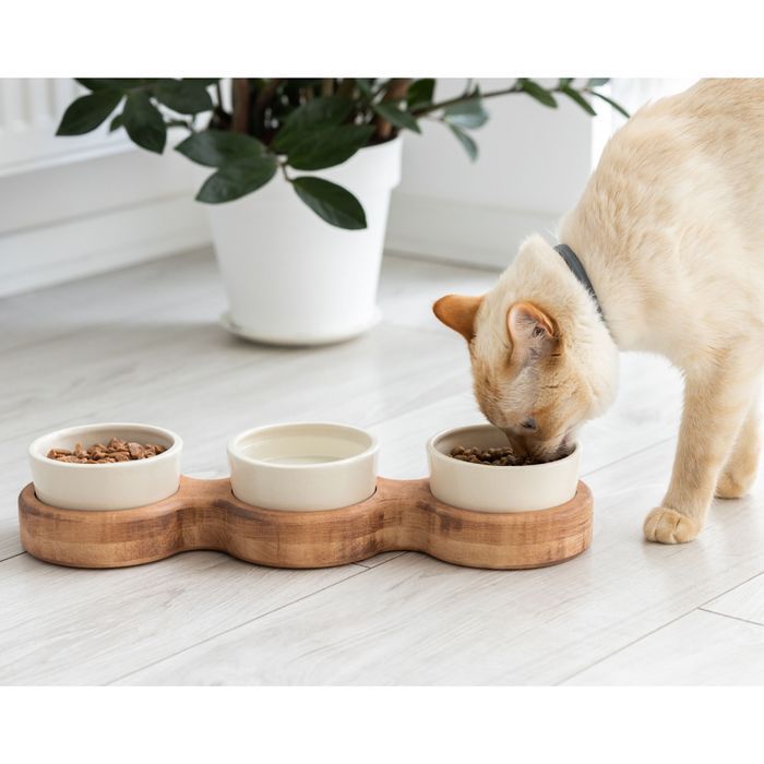 Миска для кошек PetJoy Тройная 3 х 250 мл - коричнево-бежевый - masterzoo.ua
