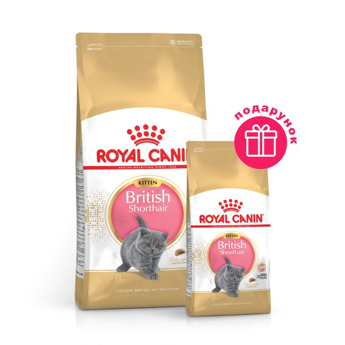 Сухий корм для кошенят породи британська короткошерста Royal Canin Kitten British Shorthair 2 кг + 400 г у подарунок ​​- домашня птиця - masterzoo.ua