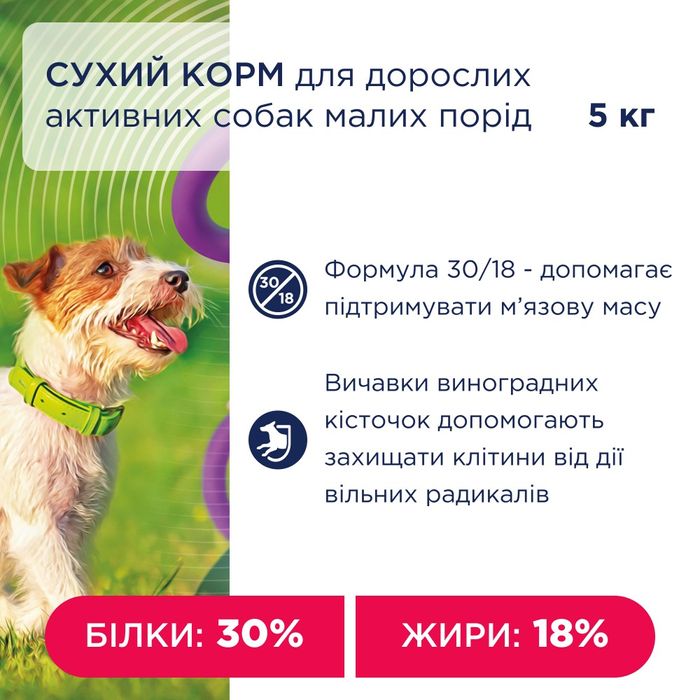 Сухий корм для собак Club 4 Paws Premium Adult Active Small Breeds 5 кг - курка + Puller - masterzoo.ua