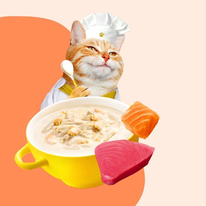 Влажный корм для кошек Moochie Сreamy Broths 40 г - тунец и лосось - masterzoo.ua