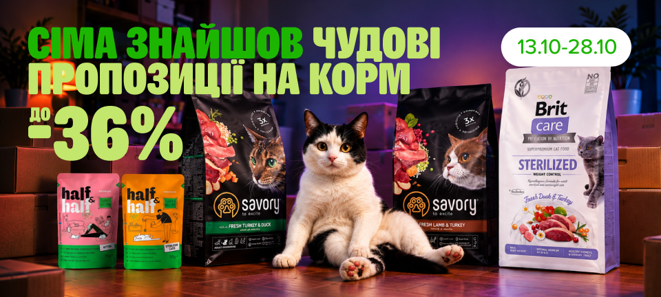 1. Десктоп Корм для котов