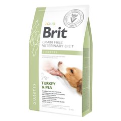 Сухий корм для собак, при цукровому діабеті Brit GF Veterinary Diet Dog Diabetes 2 кг (індичка) - masterzoo.ua