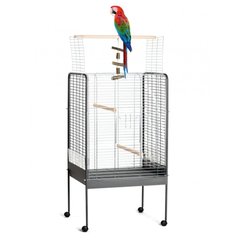 Клетка для птиц Fop «Tiffany» 72 x 55,5 x 123,5 см - masterzoo.ua