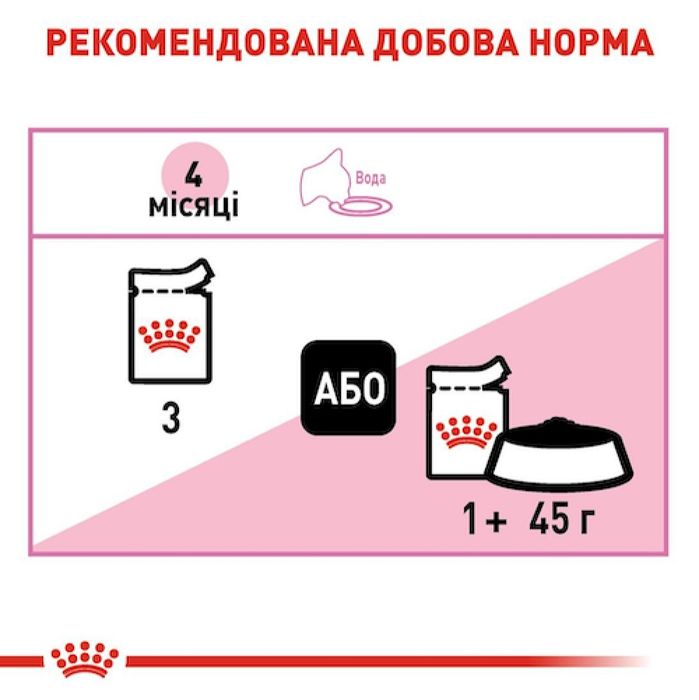 Вологий корм для кошенят Royal Canin Kitten Loaf pouch 9+3 шт х 85 г - masterzoo.ua