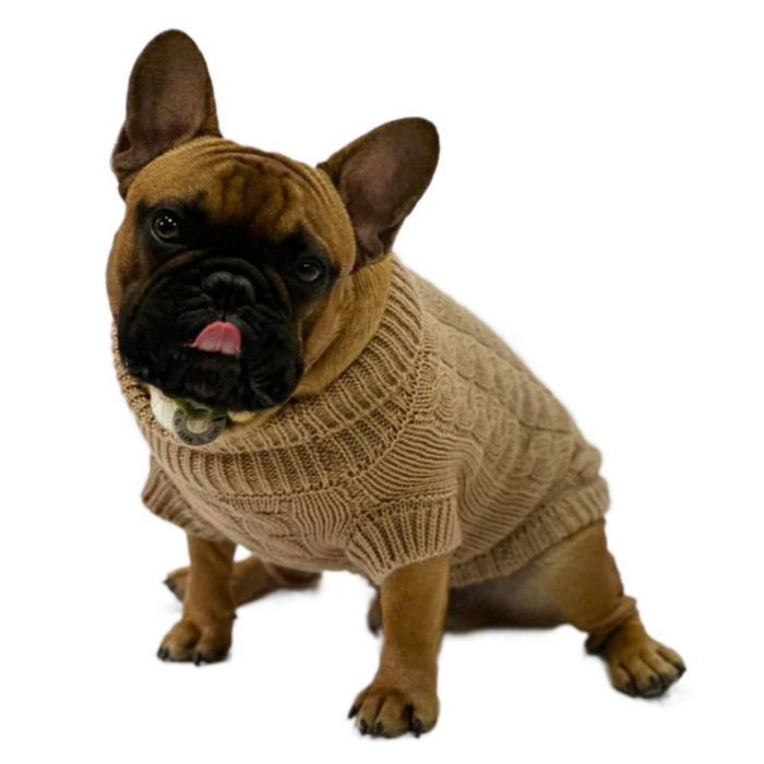 Noble Pet Antony свитер для собак XL - masterzoo.ua