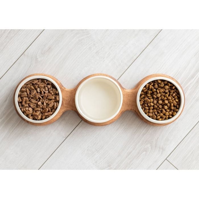 Миска для собак PetJoy Потрійна 3 х 250 мл - коричнево-бежевий - masterzoo.ua