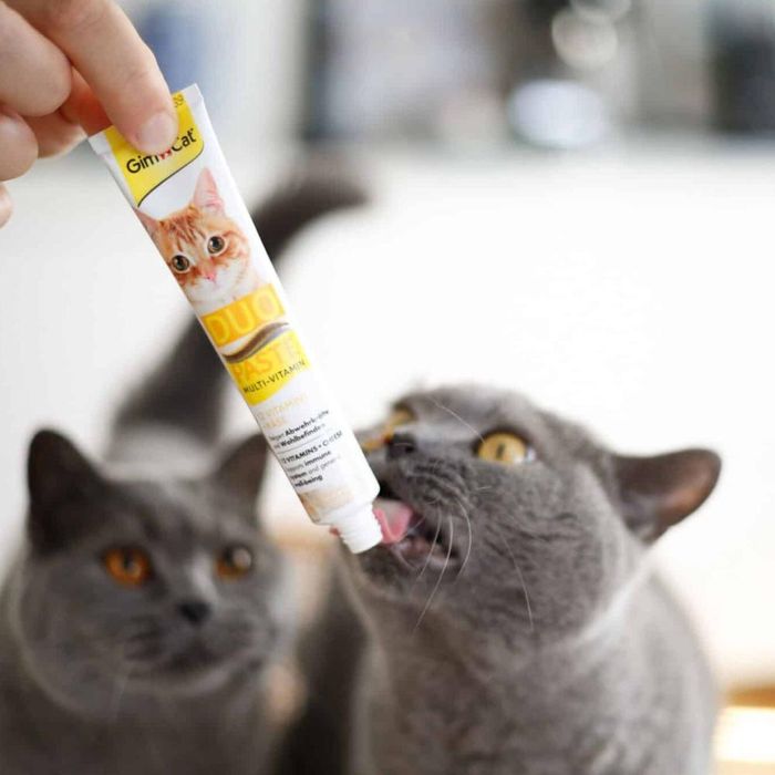 Ласощі для котів GimCat Duo Paste Multi-vitamin 12 vitamins 50 г - сир - masterzoo.ua