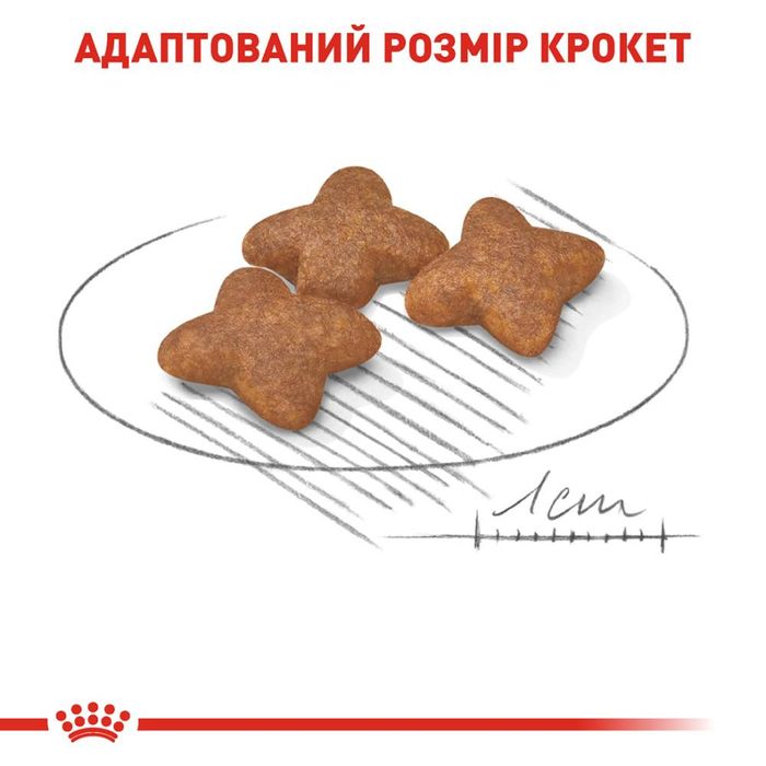 Сухий корм для дорослих собак дрібних порід Royal Canin Mini Adult 2 кг - домашня птиця - masterzoo.ua