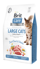Сухой корм для кошек крупных пород Brit Care Cat GF Large cats Power & Vitality 2 кг (курица и утка) - masterzoo.ua