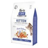 Сухой корм для котят Brit Care Cat Grain Free Kitten Gentle Digestion Strong Immunity 400 г - лосось - masterzoo.ua