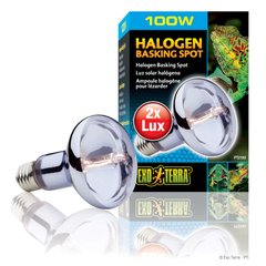 Галогенова лампа Exo Terra «Halogen Basking Spot» 100 W, E27 (для обігріву) - masterzoo.ua