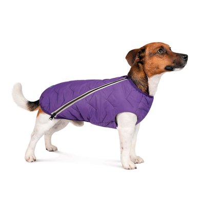 Жилетка для собак Pet Fashion E.Vest XS-2 (фиолетовый) - masterzoo.ua