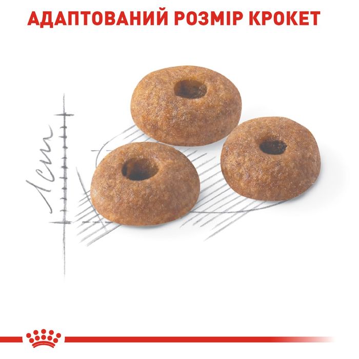 Сухой корм для кошек Royal Canin Fit 32, 4 кг - домашняя птица + Catsan 5 л - masterzoo.ua