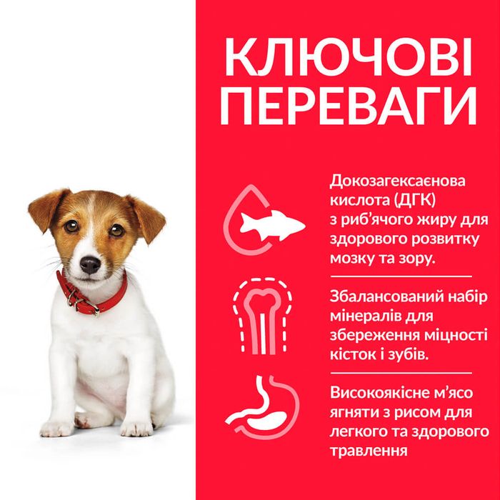 Сухий корм для собак Hill’s Science Plan Puppy Smal & Mini 1,5 кг - курка - masterzoo.ua