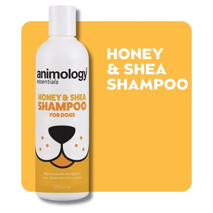 Шампунь дезодоруючий для собак Animology Essentials Honey and Shea 250 мл - masterzoo.ua