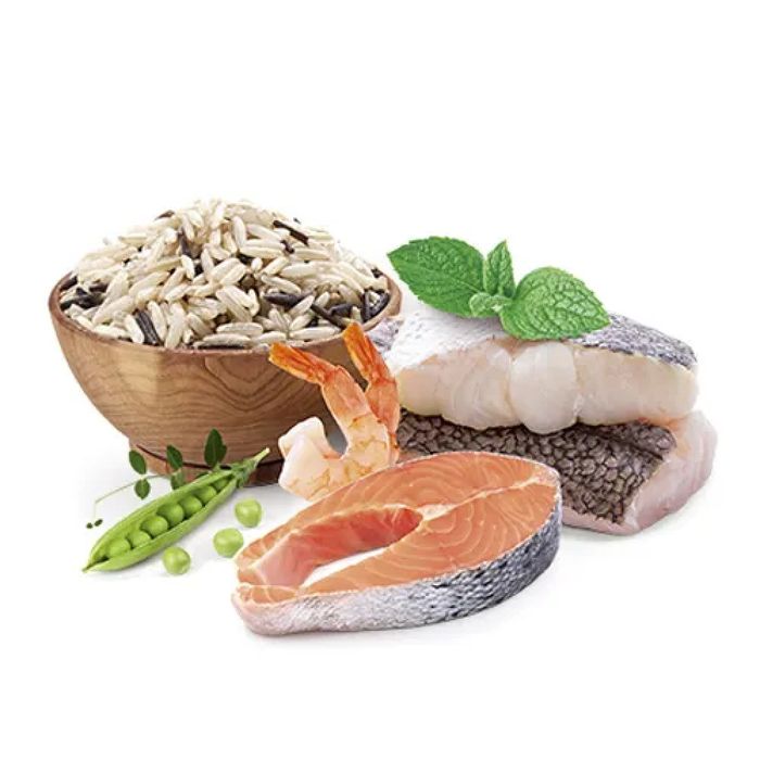 Сухий корм для цуценят Home Food Medium/Maxi 10 кг - форель і рис - masterzoo.ua