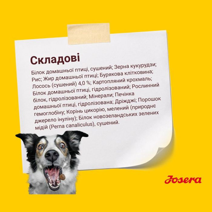 Сухий корм для собак Josera Festival 900 г - лосось - masterzoo.ua