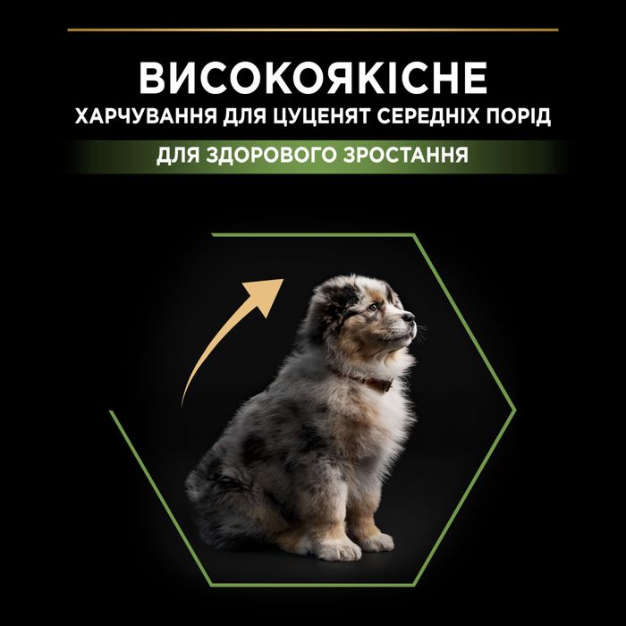 Сухий корм для цуценят та молодих собак Pro Plan Puppy Medium 3 кг - курка - masterzoo.ua