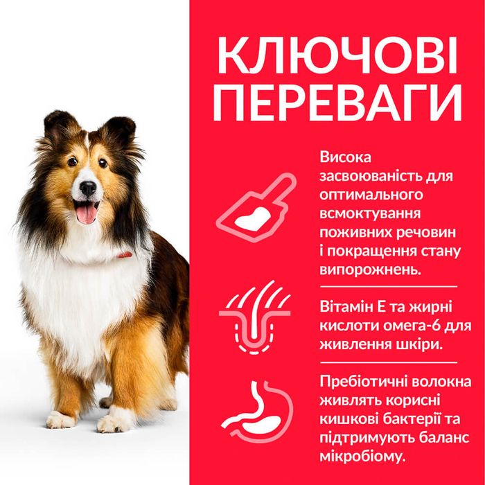 Сухой корм для собак Hill’s Science Plan Adult Sensitive Stomach&Skin Medium Breed 2,5 кг - курица - masterzoo.ua