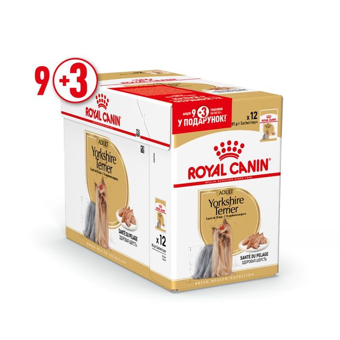 Вологий корм для дорослих собак породи йоркширський тер'єр Royal Canin Yorkshire Terrier Adult 85г, 9+3 шт у подарунок - домашня птиця - masterzoo.ua