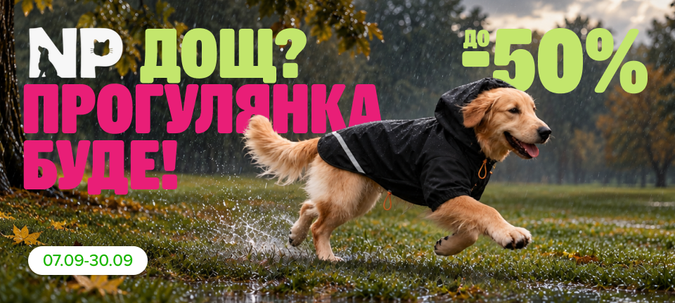 1. Десктоп Нобел пет одежда