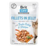 Вологий корм для котів Brit Care Cat pouch 85 г - індичка та креветка - masterzoo.ua