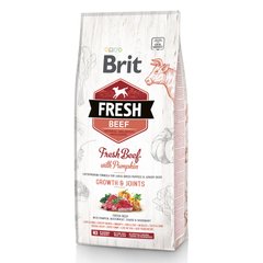 Сухой корм для щенков и молодых собак крупных пород Brit Fresh Beef Pumpkin Puppy Junior Growth & Joints 12 кг (говядина) - masterzoo.ua