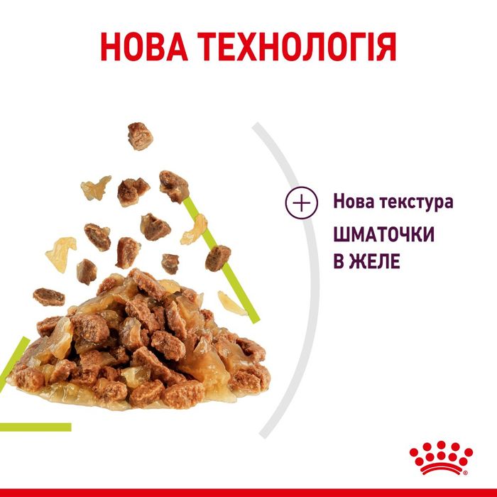 Вологий корм для котів Royal Canin Sensory Smell Jelly pouch 9+3 шт х 85 г - masterzoo.ua