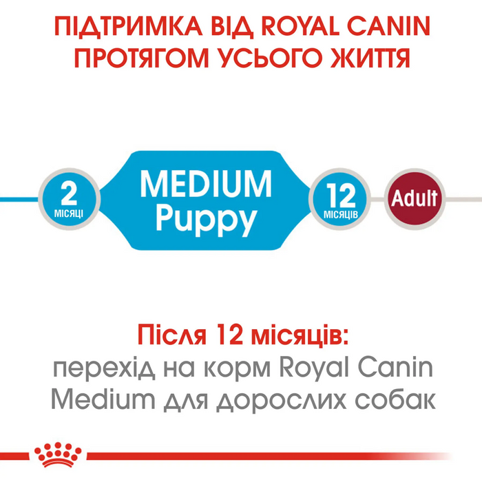 Сухий корм для цуценят Royal Canin Medium Puppy 4 кг + годівниця у подарунок - masterzoo.ua