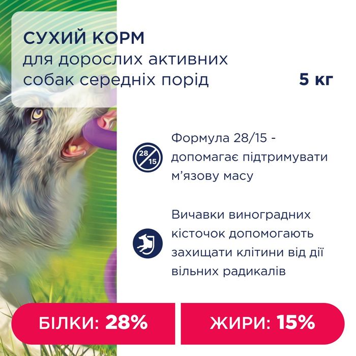 Сухий корм для собак Club 4 Paws Premium Adult Active Medium Breeds 5 кг - курка + Puller - masterzoo.ua