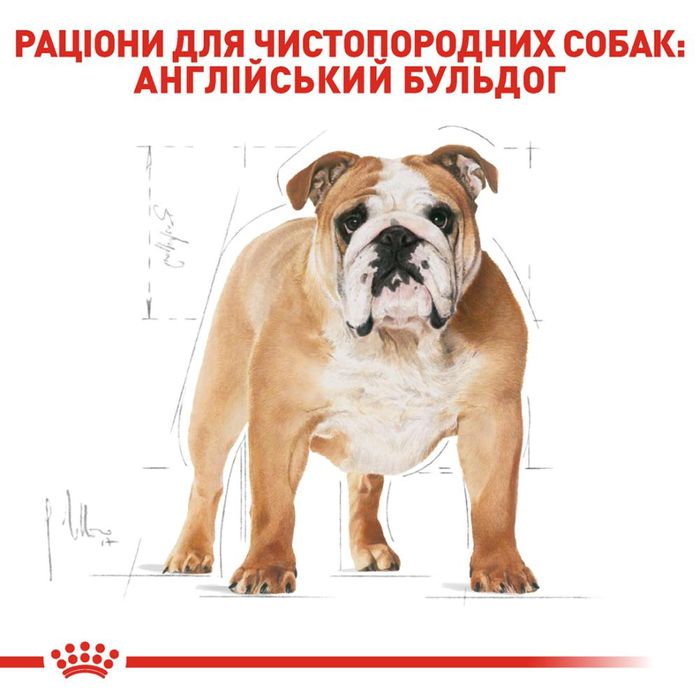 Сухой корм для собак Royal Canin Bulldog Adult 12 кг - masterzoo.ua