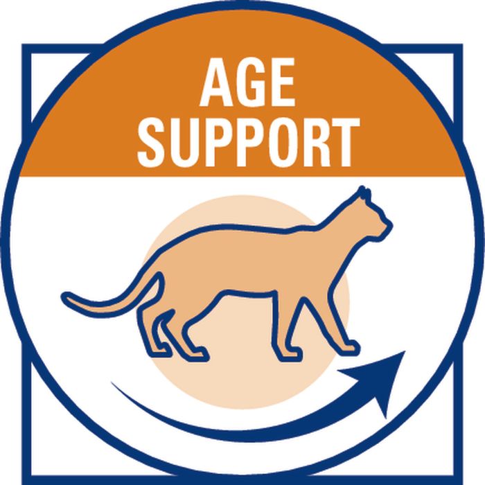 Влажный корм для пожилых кошек Royal Canin Senior Consult Stage 2, 100 г (домашняя птица) - masterzoo.ua