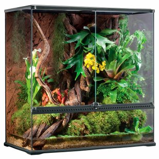 Террариум Exo Terra стеклянный «Natural Terrarium» 90 x 45 x 90 см - masterzoo.ua