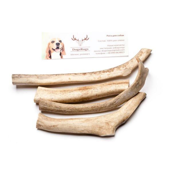 Ласощі для собак Ріг оленя м'який «DogsRogs» розмір 30 см - masterzoo.ua