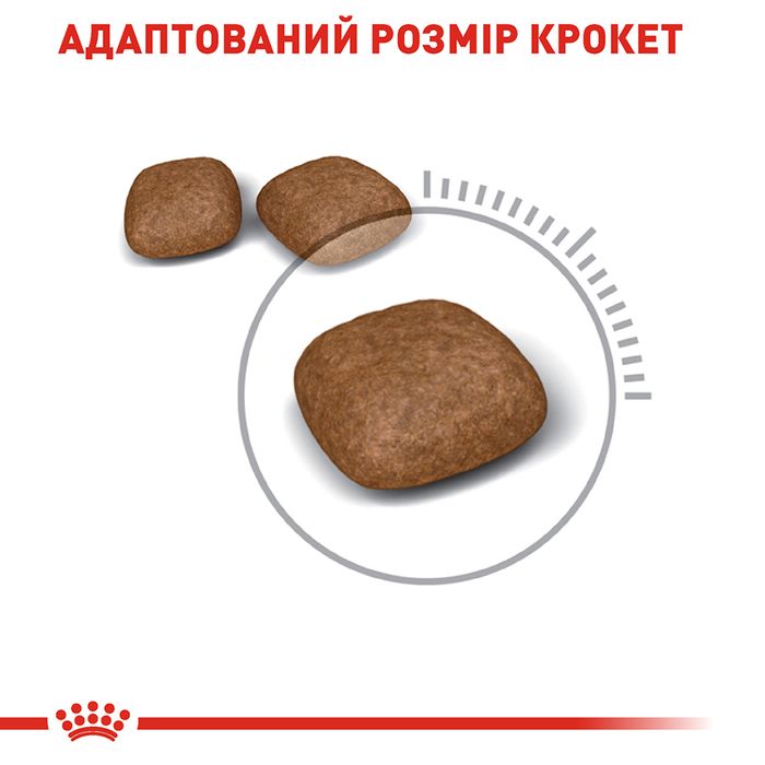 Набір сухого і вологого корму для котів Royal Canin Urinary Care 2 кг +12 шт х 85 г pouch + лабіринт у подарунок - masterzoo.ua