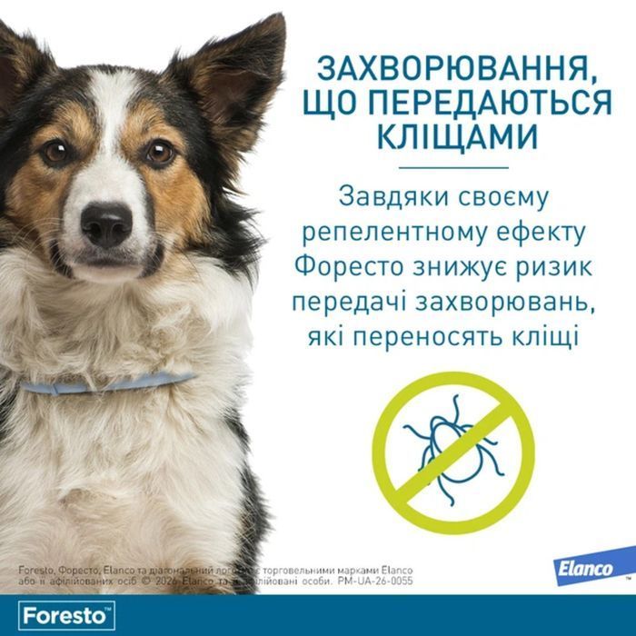 Нашийник Elanco Bayer Foresto проти паразитів для собак і котів 38 см - masterzoo.ua